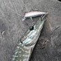     Lucky Craft Bevy Minnow 45SP