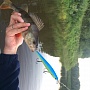 pointer 128  