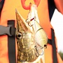 �������� � ������������� - ��� ������� ������ ����� ��������, ��� LC WakeBait