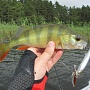 Blade Cross Bait 90  