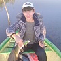 Classical Minnow