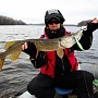 Pointer 128      
